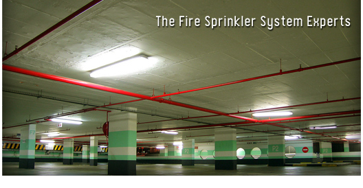 fire sprinkler system design jobs new zealand